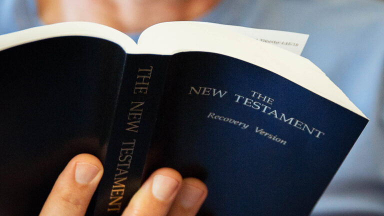 person holding New Testament