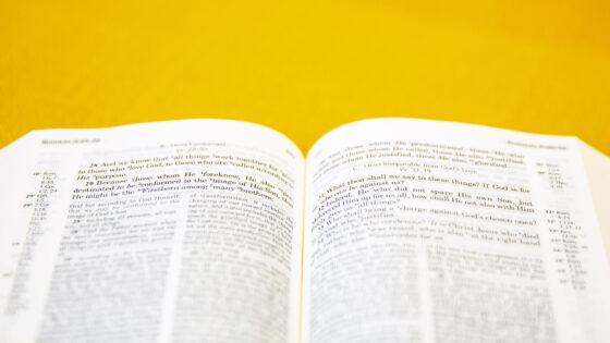 The First Step in Understanding the Bible