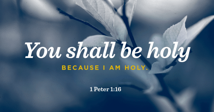 What Does It Mean To Be Holy?